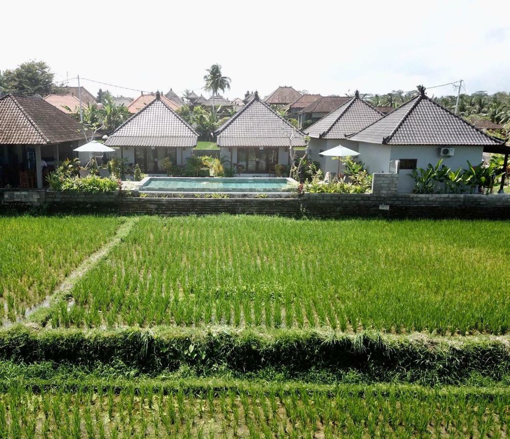 Paraiso Cottage Ubud Εξωτερικό φωτογραφία