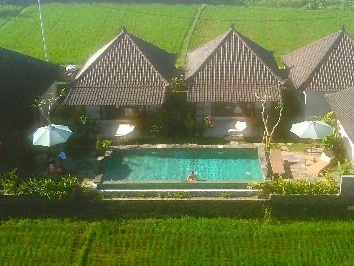 Paraiso Cottage Ubud Εξωτερικό φωτογραφία