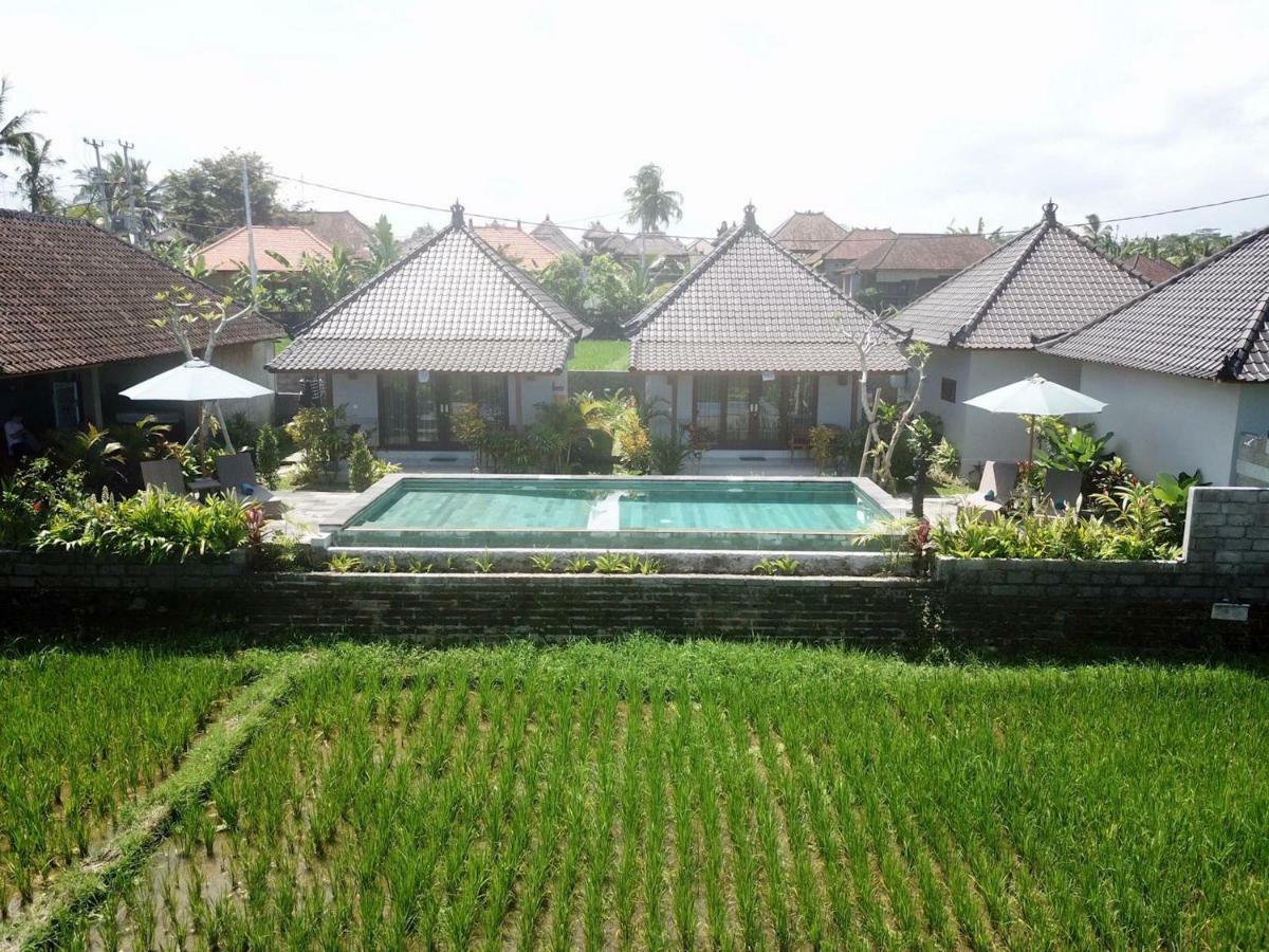 Paraiso Cottage Ubud Εξωτερικό φωτογραφία
